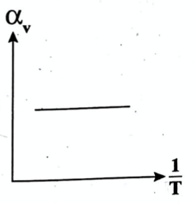 Option C graph